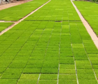 桂平市氣候特征（年平均氣溫與降水量）